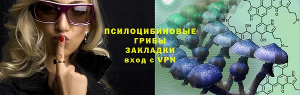 хмурый Абаза
