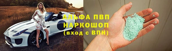 хмурый Абаза