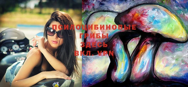 сатива Абдулино