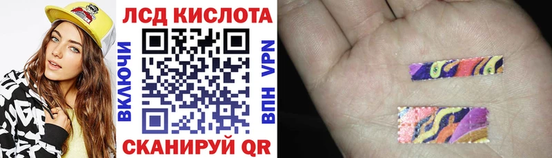 хочу наркоту  Фокино  Марки NBOMe 1500мкг 
